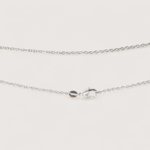 Silver Chain