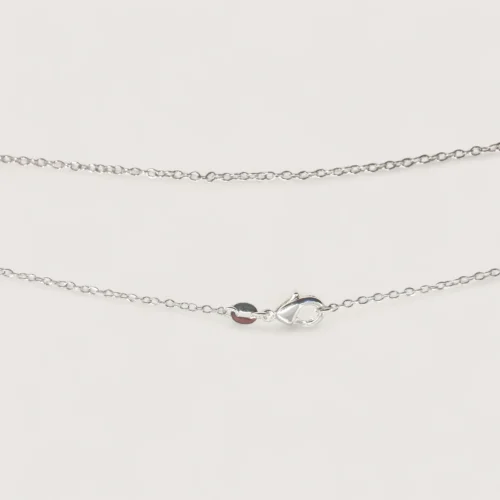 Silver Chain Silver Chain